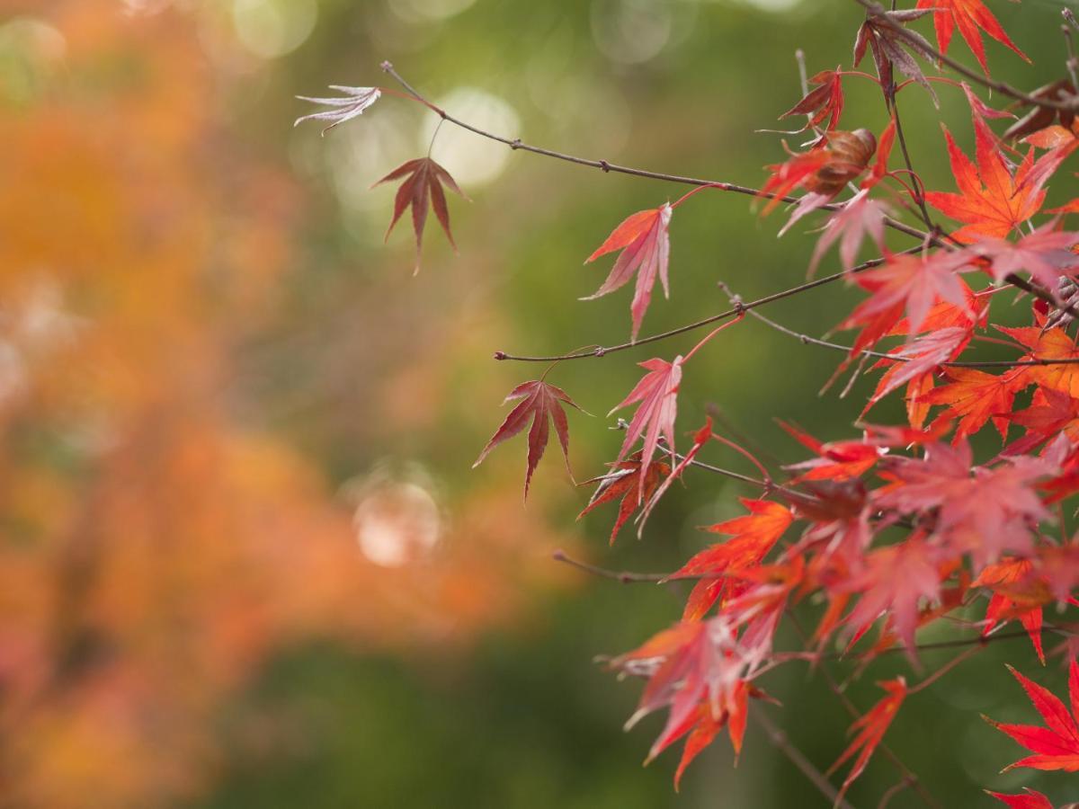 Ryokan Genhouin Kioto Zewnętrze zdjęcie
