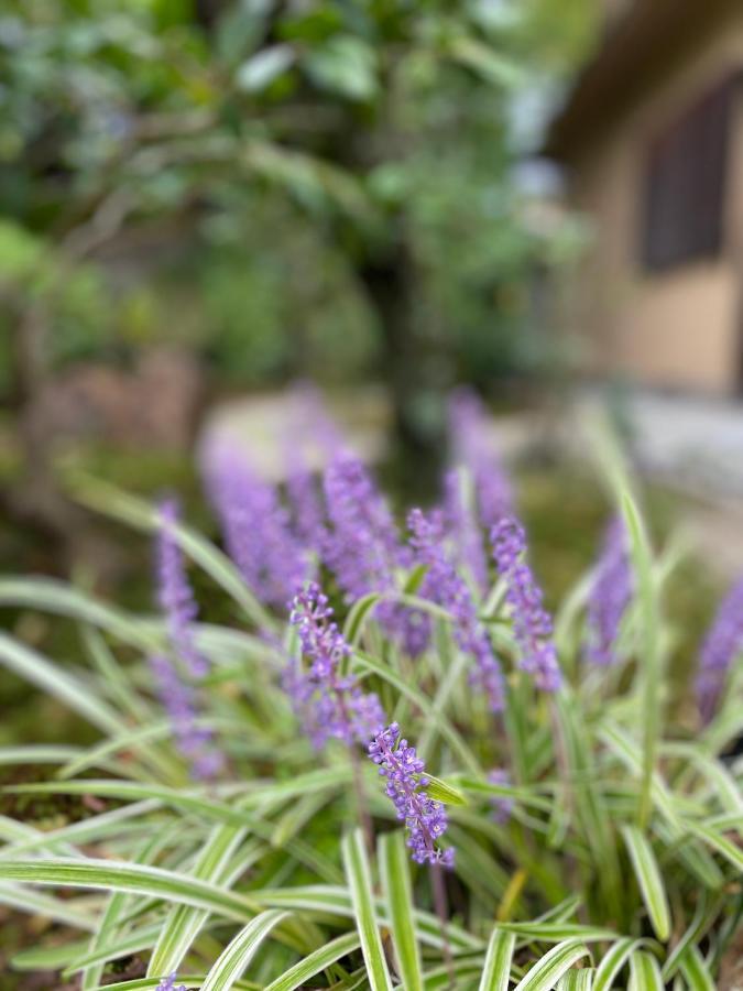 Ryokan Genhouin Kioto Zewnętrze zdjęcie